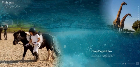 Tiện ích trường đua ngựa Vinhomes Royal Island có gì đặc biệt và thu hút du khách